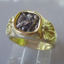 Owl coin, 14kt Ring
