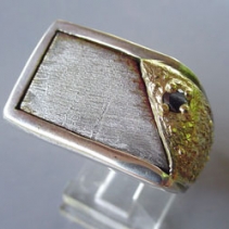 Meteorite in Sterling Silver and 14kt Gold Ring with Black Diamond