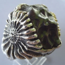 Sikhote Alin Meteorite in Sterling Silver Ammonite Ring