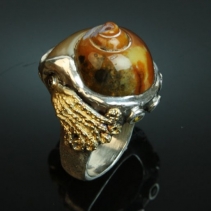 Agatized Shell, SS/14kt Ring
